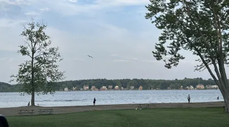 Lake Time Cottage Lake Milton Oh: Wifi, Smart TVs, Gas Fire Pit, Lake Toys,