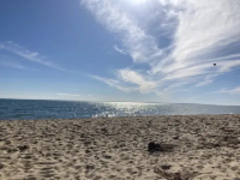 Renovated Home with heated pool near the beach! Fenced in yard +pet friendly