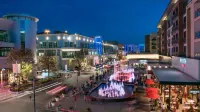 Plano Tourist Hot Spot!