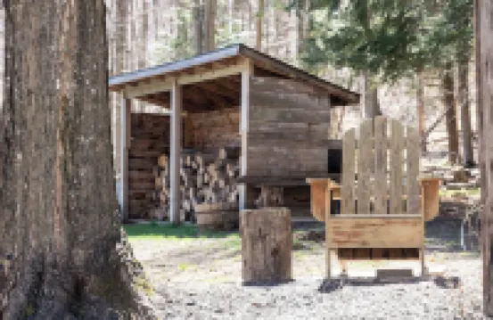 Centrally located cozy cottage tucked into the woods, a perfect family retreat