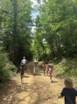 The Outpost, on Little Pisgah Mountain - a Secluded Modern Cabin Oasis