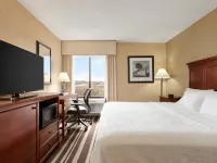 Hampton Inn Washington-Dulles Int'l Airport South Hotele w: Sully