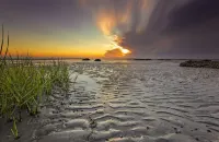 FULLY RENOVATED, 5-MINUTE WALK TO BEACH - 2 POOLS - 4 Pickleball +Tennis Courts