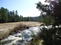 PET-FRIENDLY - Wonderfully Situated. A Truly Beautiful Setting.