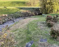 Beautiful Bryson City Oasis ~ Creek on Property