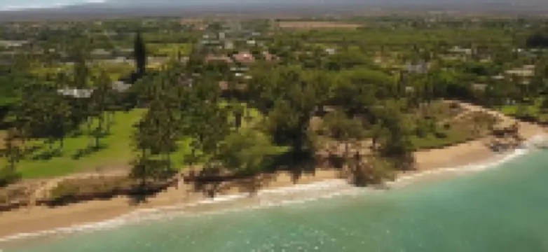 2Br/1BA Beachfront - Great Location- Exceptional Reviews