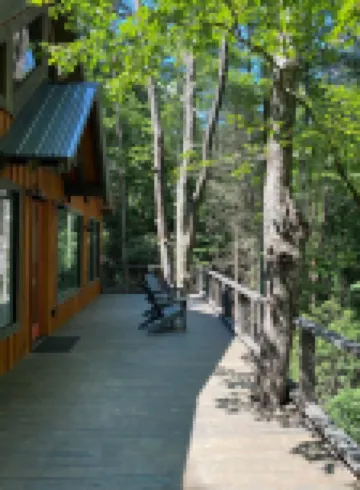 Modern Tree House Cabin in the Trees, Aska Adventure Area, 10 mn to Downtown