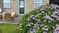 Set on a working Dairy farm  stunning views, a hot tub and pet freindly