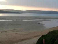 Badgers nestled in a cozy corner of the park