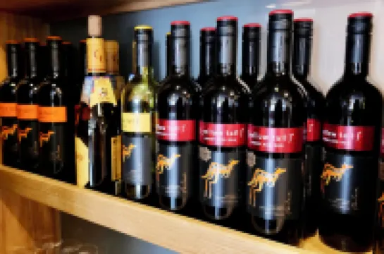 海豚SA1酒店 斯旺西酒店