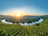 Ferienwohnung in Ediger Mosel - Wifi