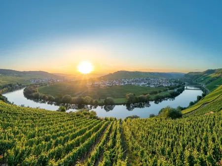 Elegant Retreat in Nattenheim