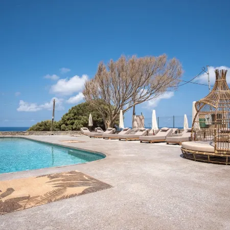 The Nest Resort