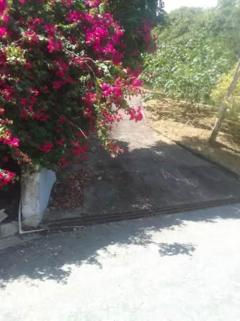 Seaclusion Apartments