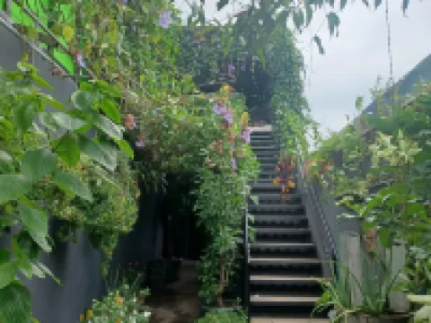 查理的地方 安蒂果庫斯卡特蘭住宿飯店