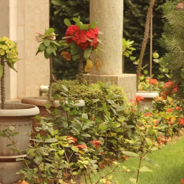 Hotel Residence Flamani