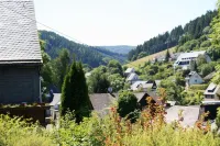 Ferienwohnung Bei Willingen Mit Eigener Terrasse - Homestays
