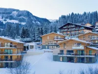 Panorama Lodge Premium Apartments Hotels in Schladming