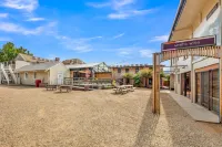Bright Velo Hotels in Freeburgh