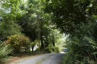Sea View 1-Bed Cottage with Private Garden