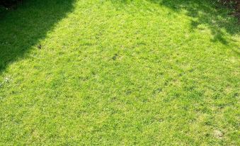 Olivia 6Pers House with a Private Garden Close to the National Park Lauwersmeer