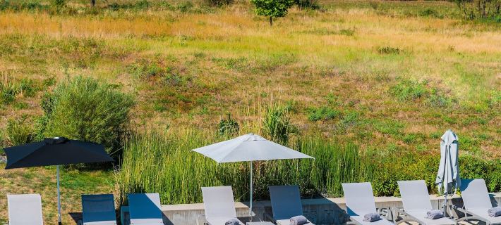 Best Western Plus Hotel les Humanistes Hotels in Alsace