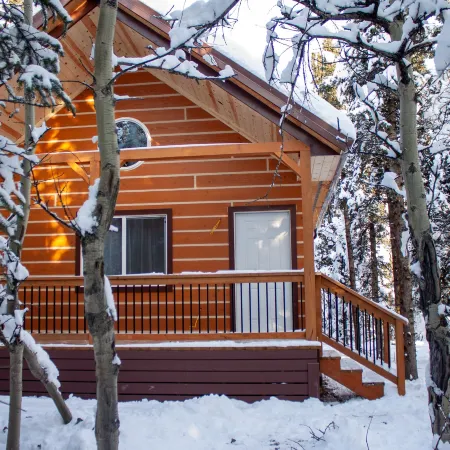 Denali Wild Stay