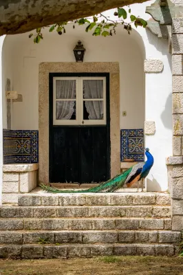 Quinta da Foz - Pet friendly
