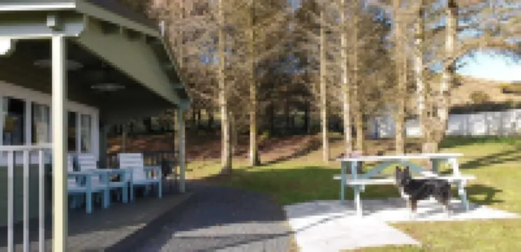 Private luxury log cabin with hot tub and stunning views! Hotels in Ballycastle