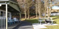 Private luxury log cabin with hot tub and stunning views!