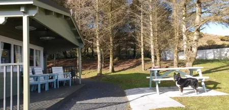 Private luxury log cabin with hot tub and stunning views!