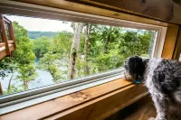 Modern Design and River Access - Stunning Tree Top Escape