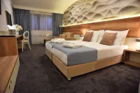 Hotel Santiny