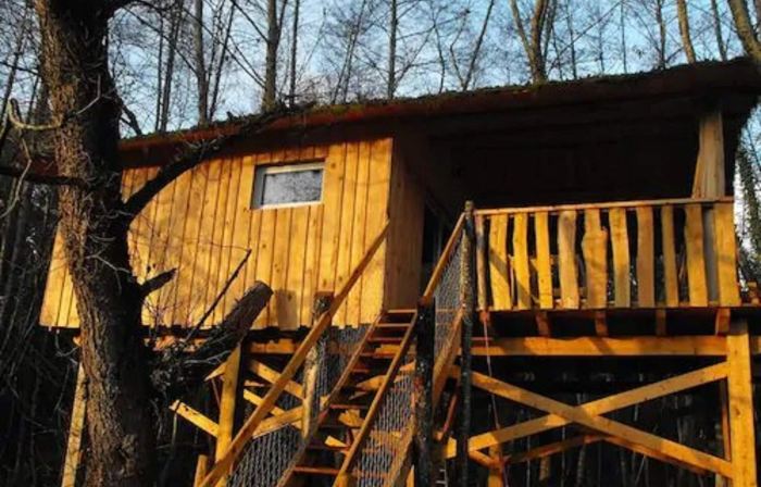 Cabane des cerfs