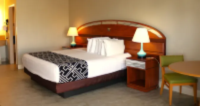 魔法鑰匙（無度假費用）