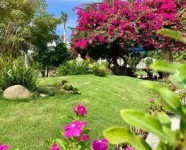 Maxivic Beach Resort