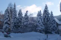 Hotel Pension am Kurmittelhaus Hotels in Bad Grund