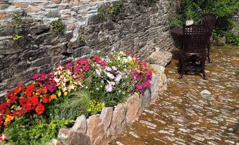 Quiet Cottage on the Rural Edge of Brixham