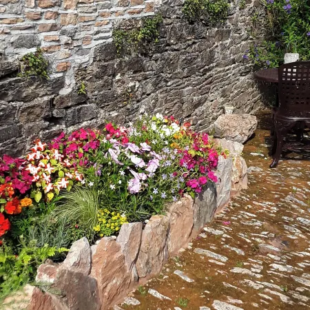 Quiet Cottage on the Rural Edge of Brixham