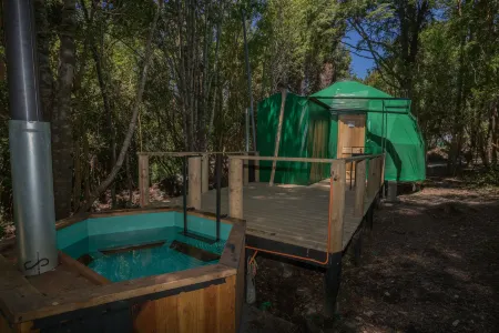 Cabañas Ensenada Bosque Nativo