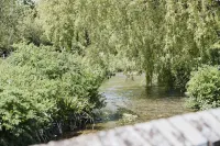 The Bucks Head Hotels in East Meon