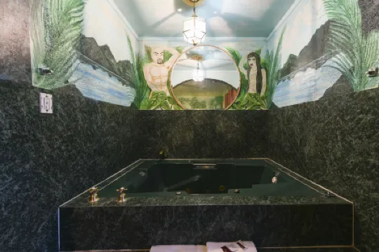 Desert Moon Motel Отели в г. Лас-Вегас