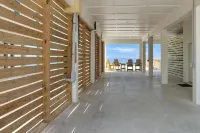 大白鯊1號