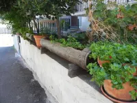 Affittacamere Bellavista - Homestays