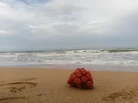 Tasheema Beach Resort Hotel a Kosgoda