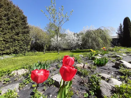 Champêtre Park View Apartments Отели рядом с достопримечательностью «Улица Альберта»