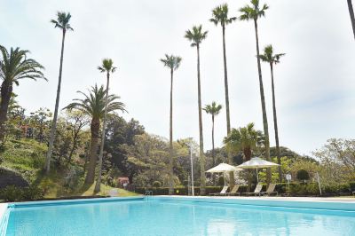 屋外プール 下田東急ホテルの写真