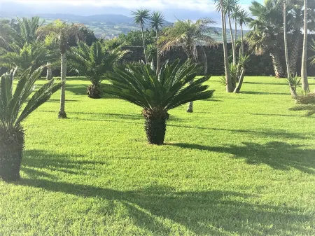 Whalesbay Hotel Apartamentos Отели в г. Candelaria