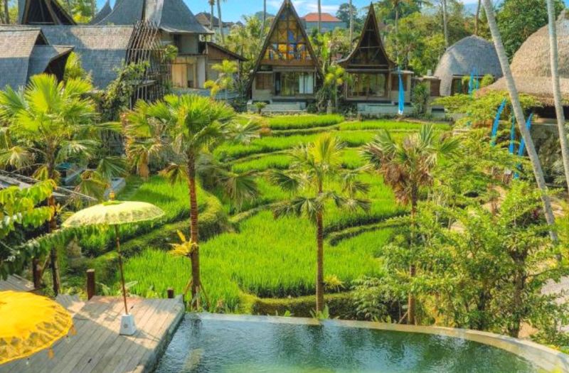 Menzel Ubud photo 3