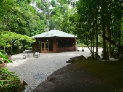 Daintree Cascades Hotels in Diwan